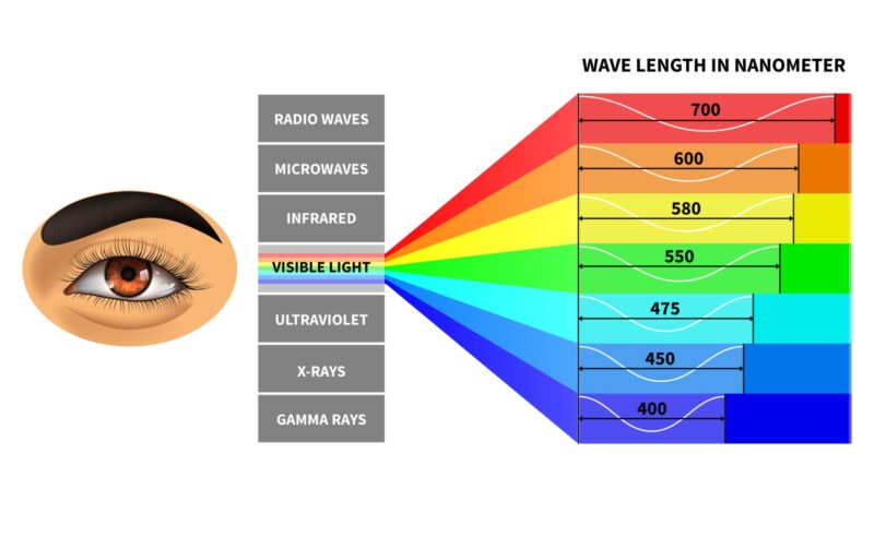 EM Spectrum with Visible Portion EM Spectrum with Visible Portion