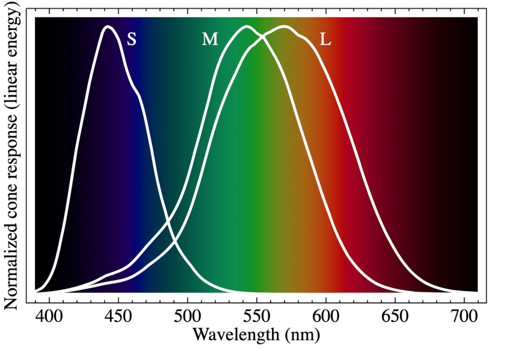 normalized-color-trsponse-linear-energy-1024x712